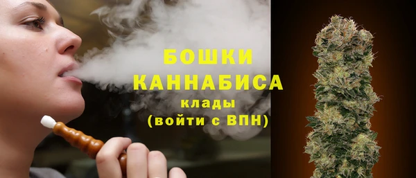 гашик Щигры