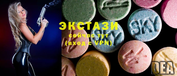 гашик Дмитриев