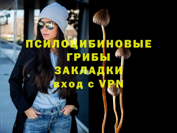 a pvp Щёлкино