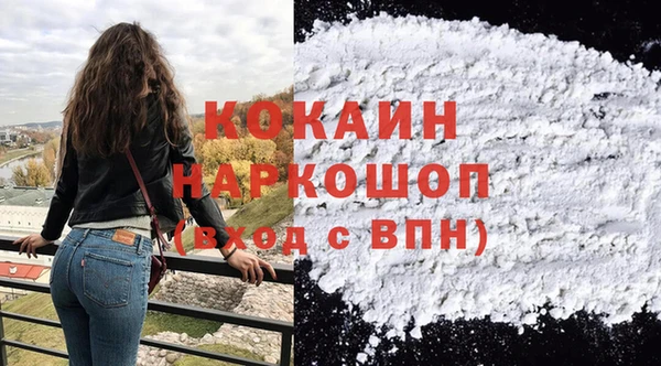 гашик Щигры