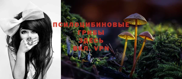 мдпв Аксай