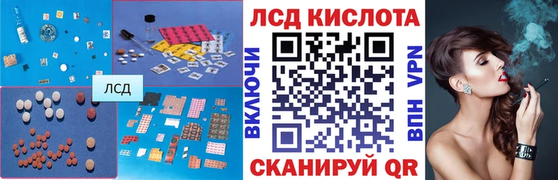 дарнет шоп  Брянск  ЛСД экстази кислота 