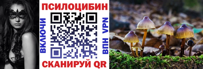 Псилоцибиновые грибы GOLDEN TEACHER  Брянск 