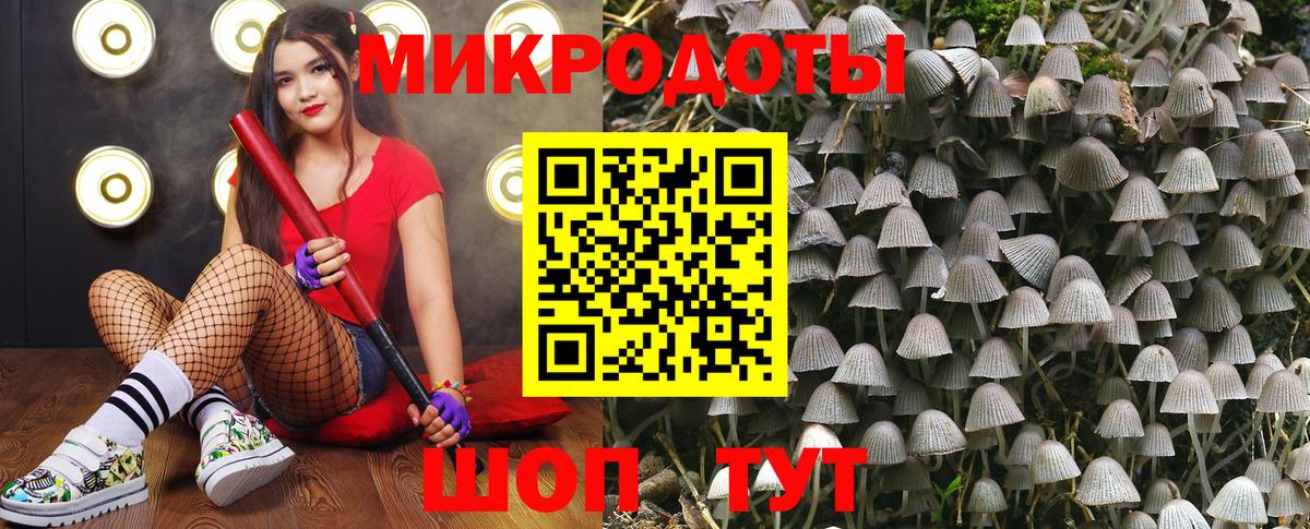 Галлюциногенные грибы мицелий  Брянск  Псилоцибиновые грибы прущие грибы 