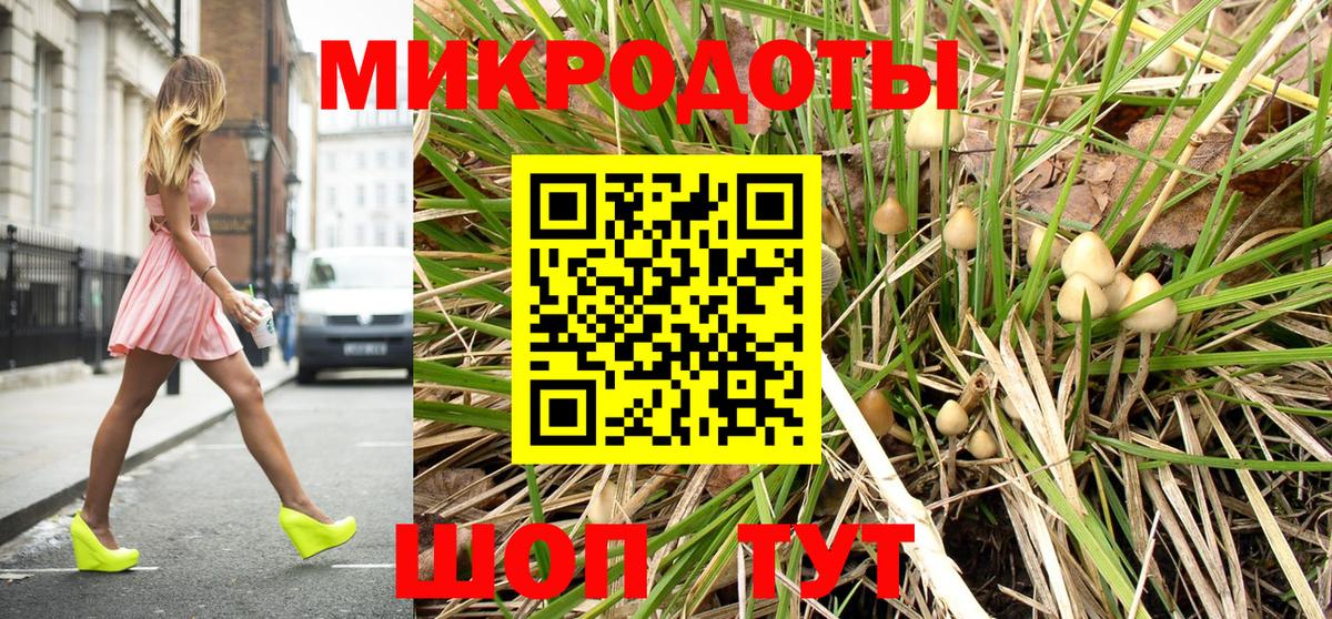Галлюциногенные грибы Magic Shrooms Брянск