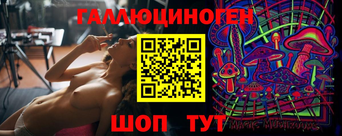 Брянск  Псилоцибиновые грибы MAGIC MUSHROOMS  Вход с VPN 
