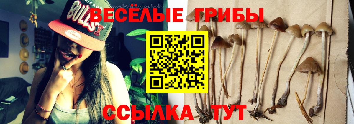 МАРИХУАНА  МЕФ  Брянск  Вход с VPN  ЭКСТАЗИ  ГАШ  МЕФ кристаллы  Каннабис  НБОМе  Cocaine  ГАШИШ 